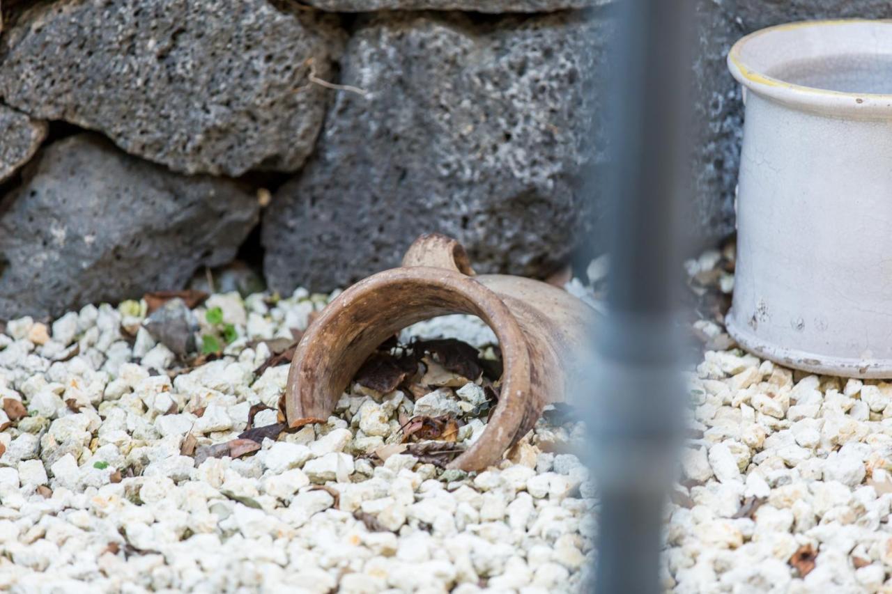 Gli Ulivi Dell'Etna Otel Linera Dış mekan fotoğraf